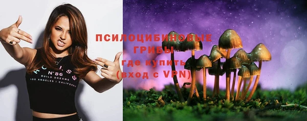 мяу мяу мука Медвежьегорск