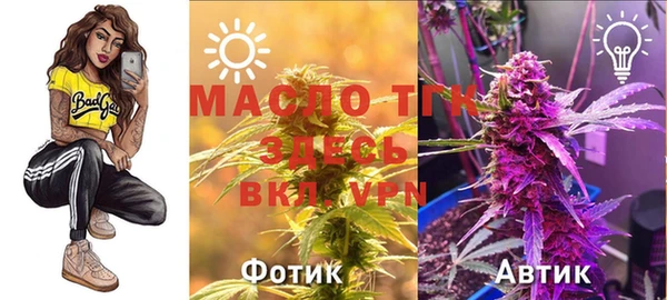 мяу мяу мука Медвежьегорск