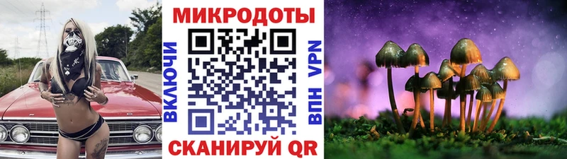 как найти закладки Отрадная Псилоцибиновые грибы Psilocybe